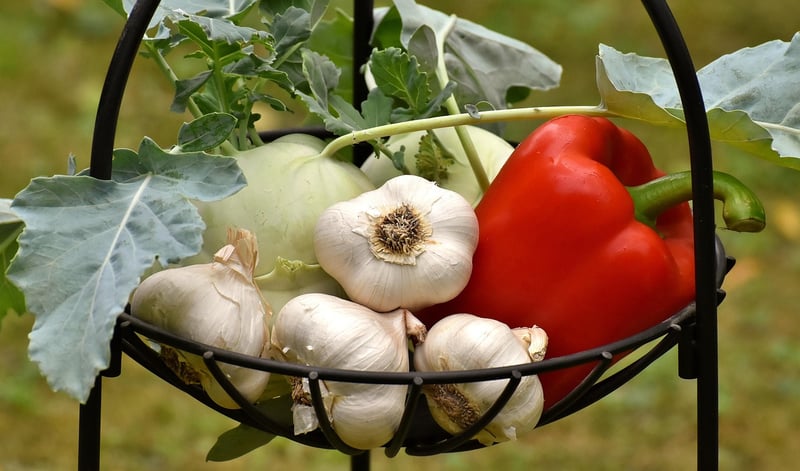 Healthy Meal Delivery
